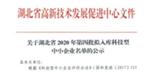 恭喜我司獲得武漢市“科技型中小企業(yè)”榮譽(yù)稱號(hào)！